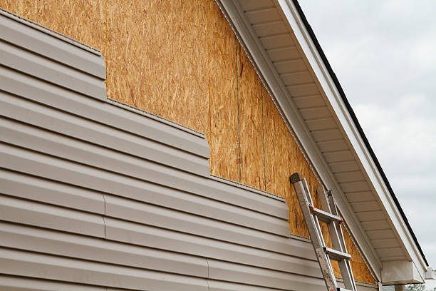 Professional Siding Inspection technician working in Washington, DC